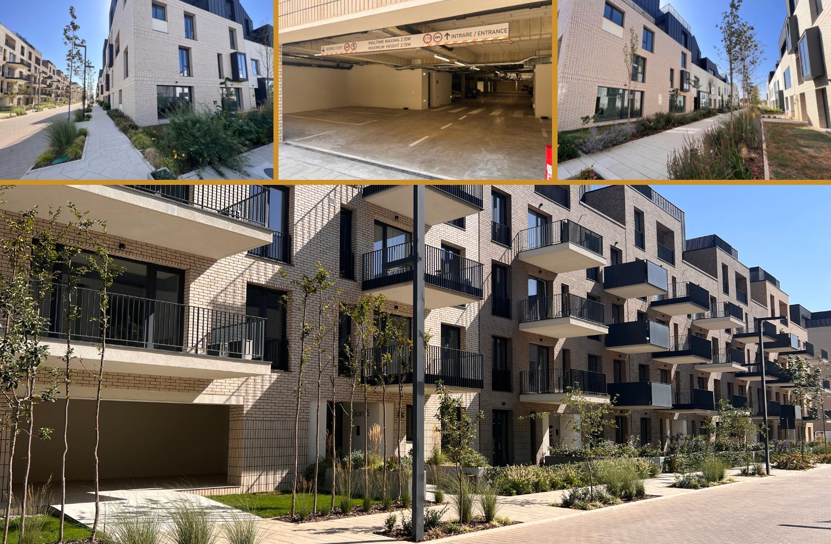 AVALON ESTATE - Poză 4