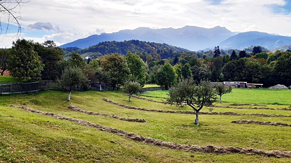 Teren superb de 16240mp, parcelabil, in Bran la intrare in Moeciu de Jos - Poză 6