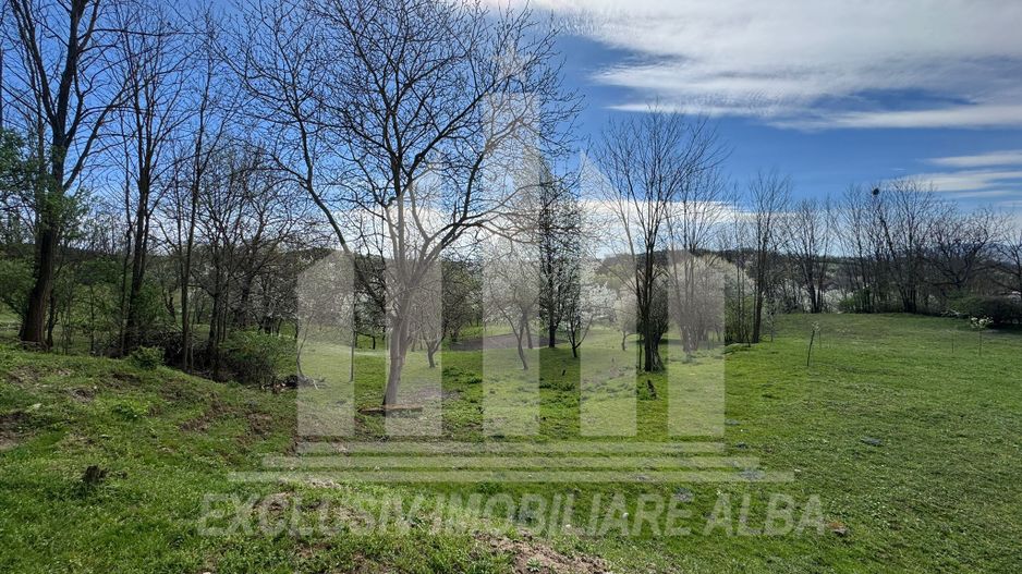 Casa individuala | De vanzare | 200 mp | 8140 mp teren | Oarda de Sus - Poză 17