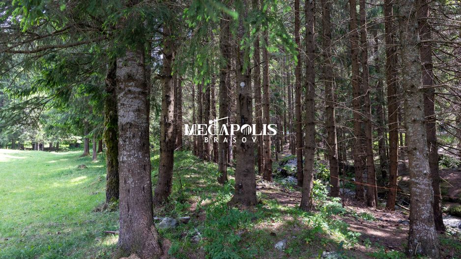 Pretabil Hotel,Pensiune,Case de Vacanta/Utilitati/PUZ - Poză 21