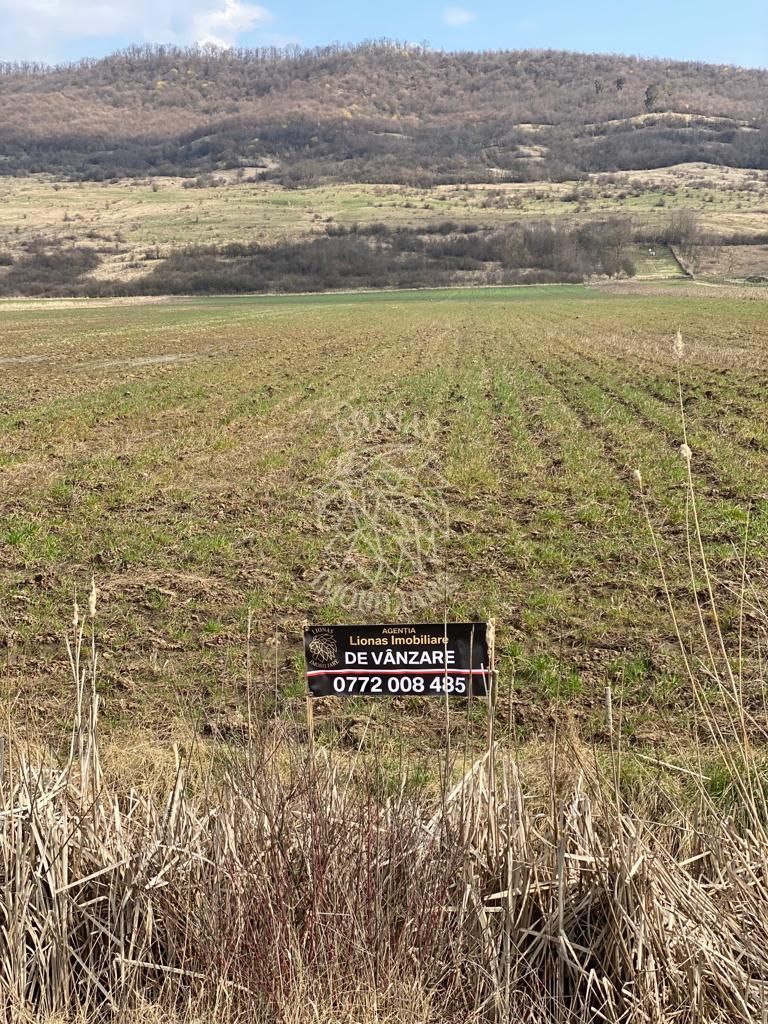 Teren Intravilan-3750mp- zona in plina dezvoltare-Podirei - Poză 5