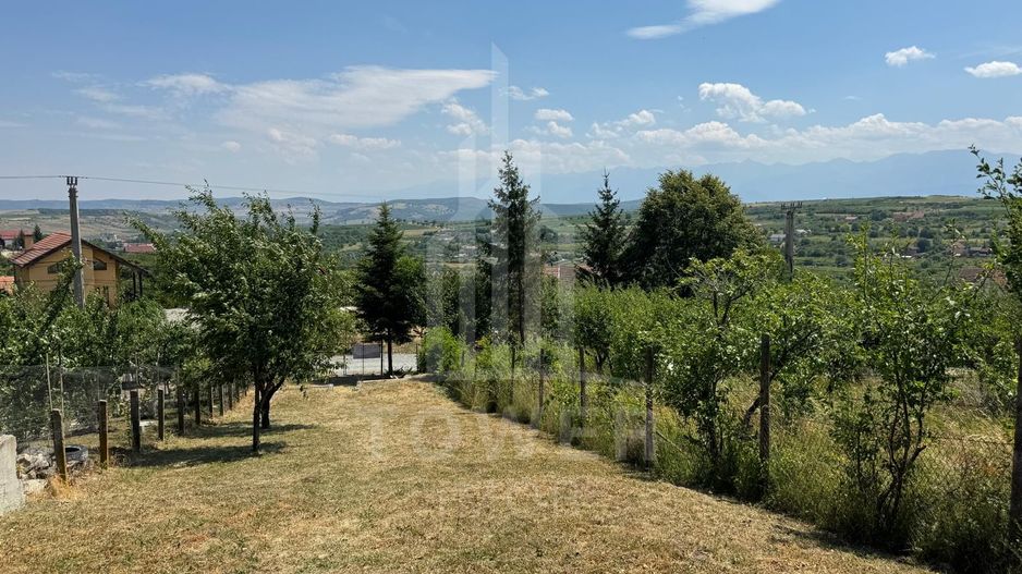 Casa cu 3 camere si teren | 111mp utili 450mp teren | Daia Noua | EXCLUSIVITATE - Poză 7