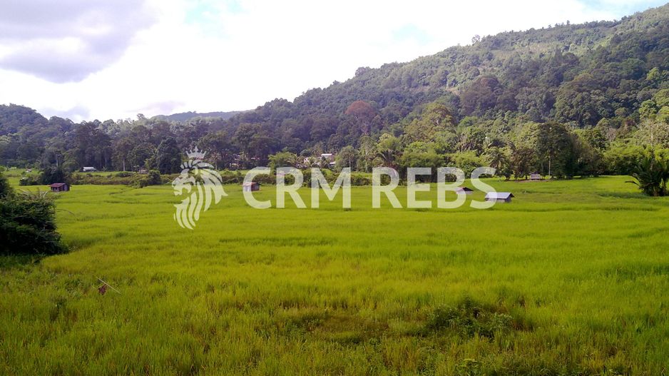 Teren cu proiect de duplex de vanzare - Poză 1