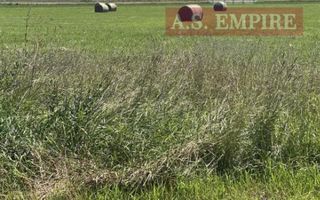 Teren  constructii, intravilan - zona Stupini(Merilor) - Poză 3