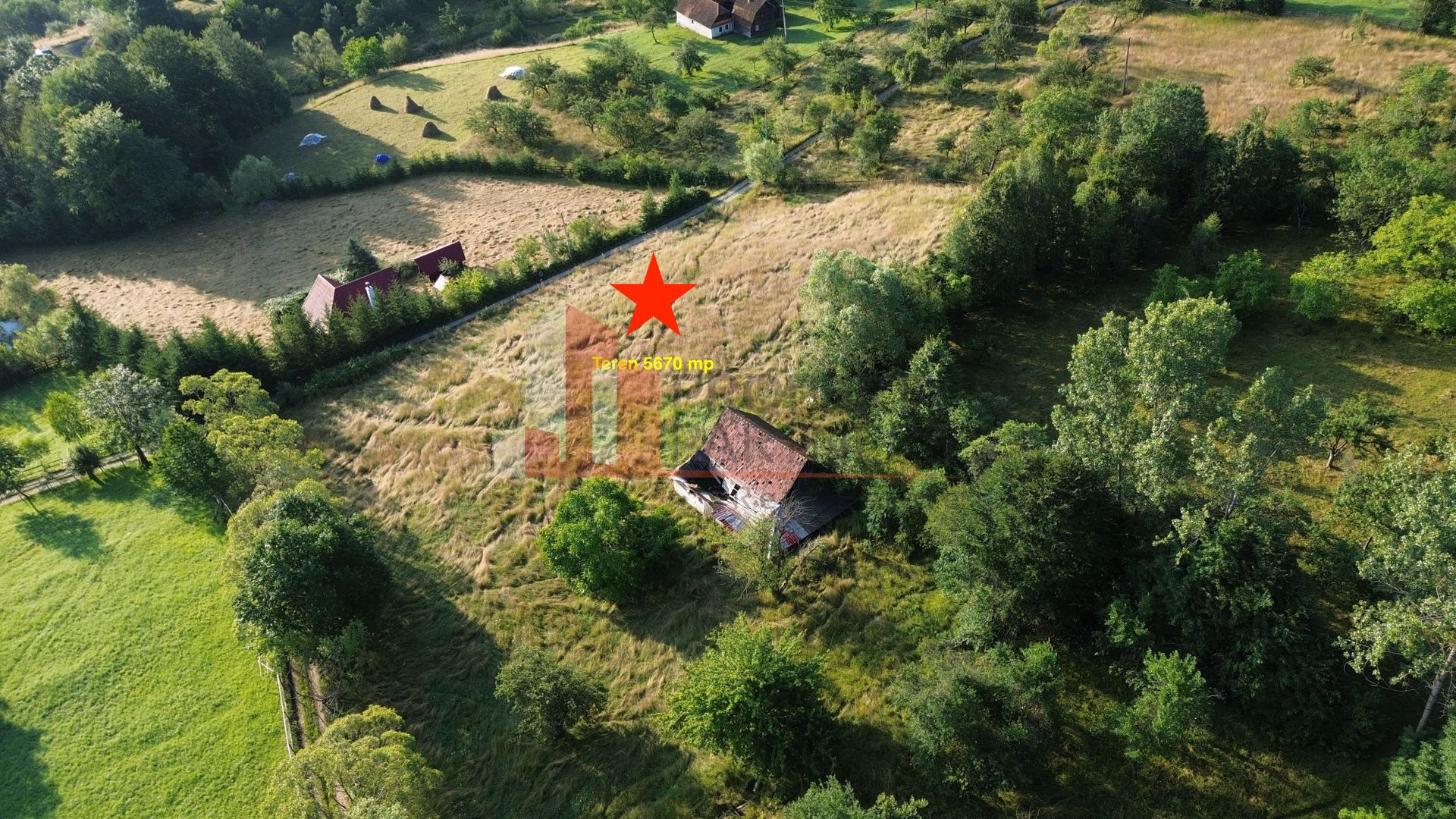 Teren 5760 mp- Bran Poarta - Poză 4