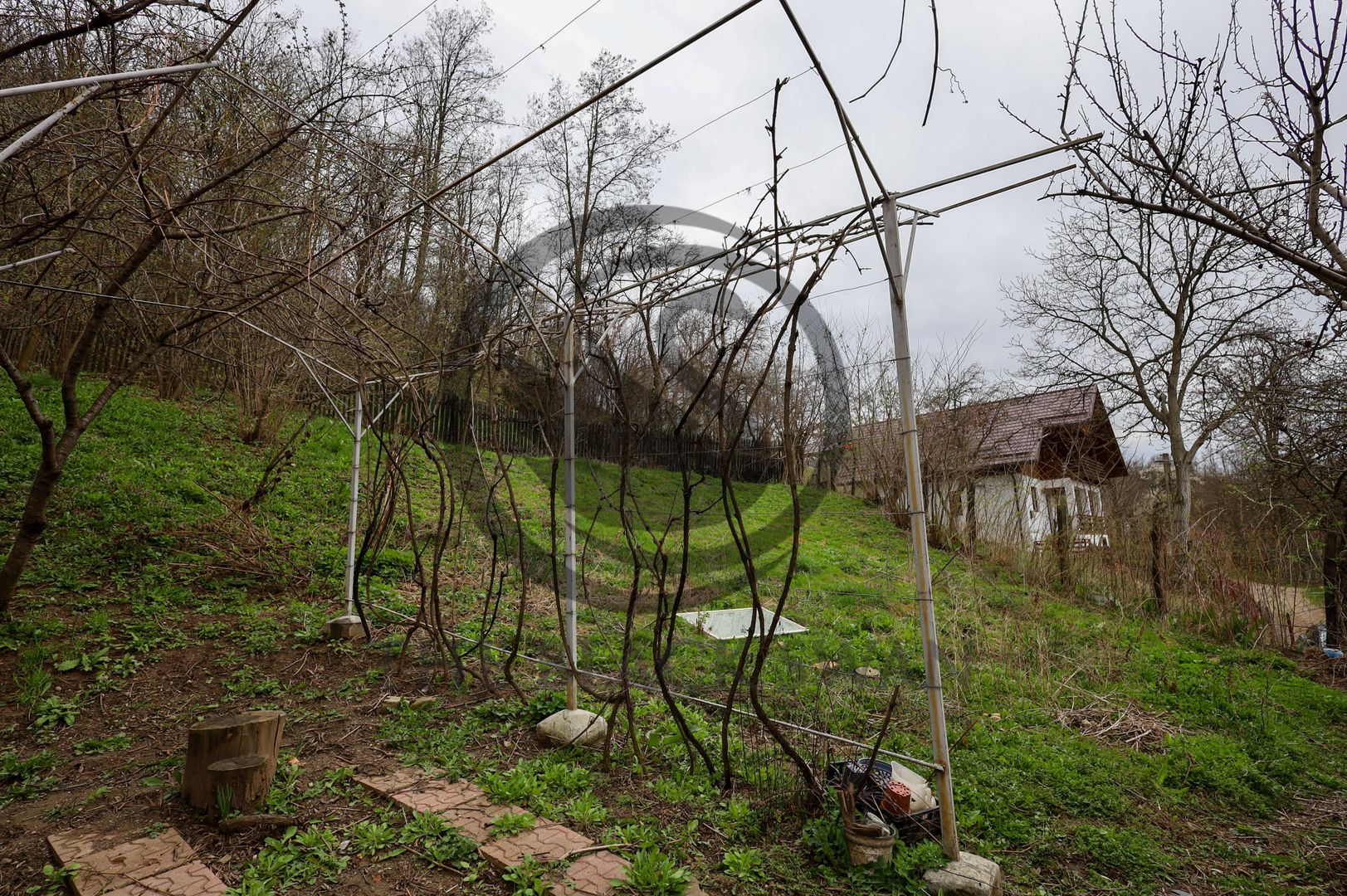 Casa 3 camere de vanzare | 2600mp teren| Cerasu, Prahova | Comision 0% - Poză 14