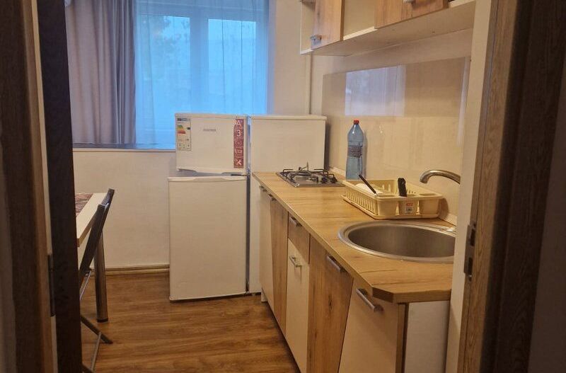 Apartament 2 camere Dristor Park Lake - Poză 8