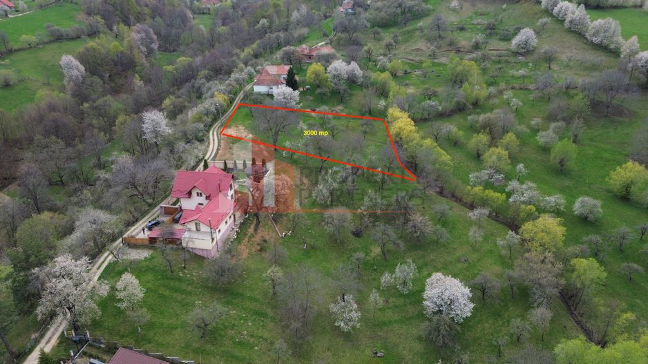 TEREN PREMIUM ÎN BRAN – SOHODOL | 3000 MP CU PANORAMĂ EXCEPȚIONALĂ - Poză 4