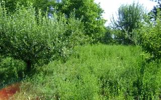 Teren de vânzare în Breaza– zonă liniștită, ideal pentru relaxare - Poză 15