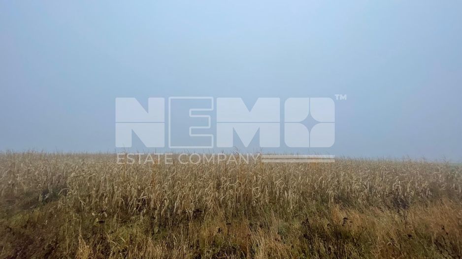 TEREN EXTRAVILAN | DOUA PARCELE| 70 ARI| IDEAL AGRICOL| CALAFINDESTI - Poză 5