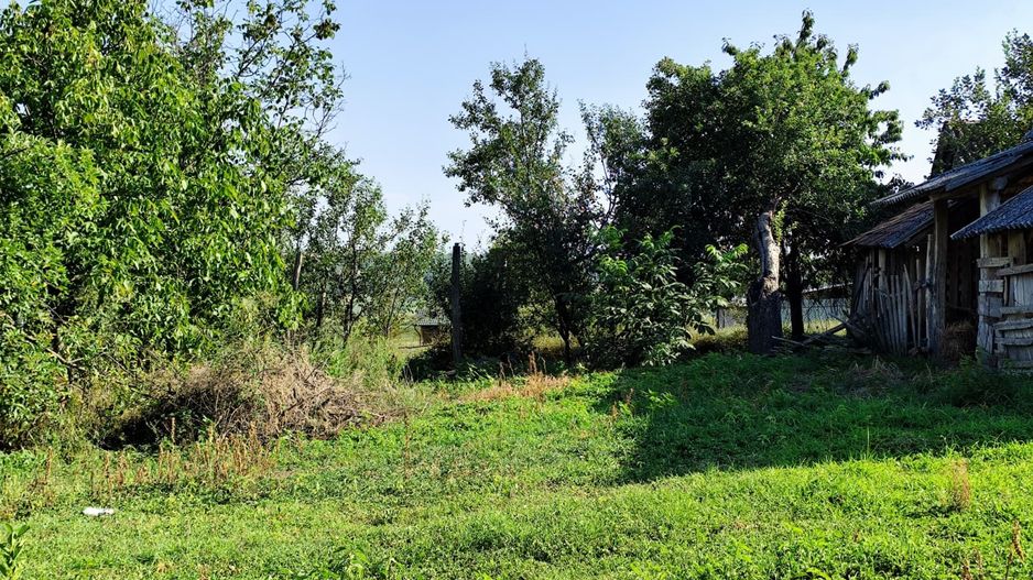 Casa la tara de vanzare, teren mare, 2 intrari auto - Calea Mare, Biho - Poză 17