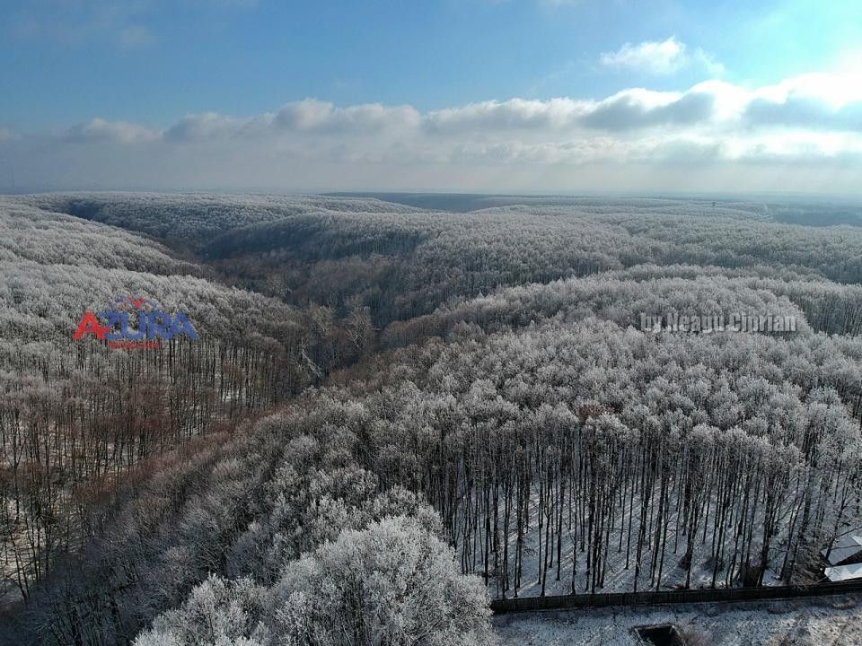 COMISION 0% -Casa deosebita Ciocanai - Poză 45