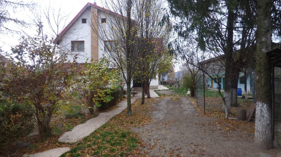 Proprietate deosebita - casa cu curte si livada - Poză 3