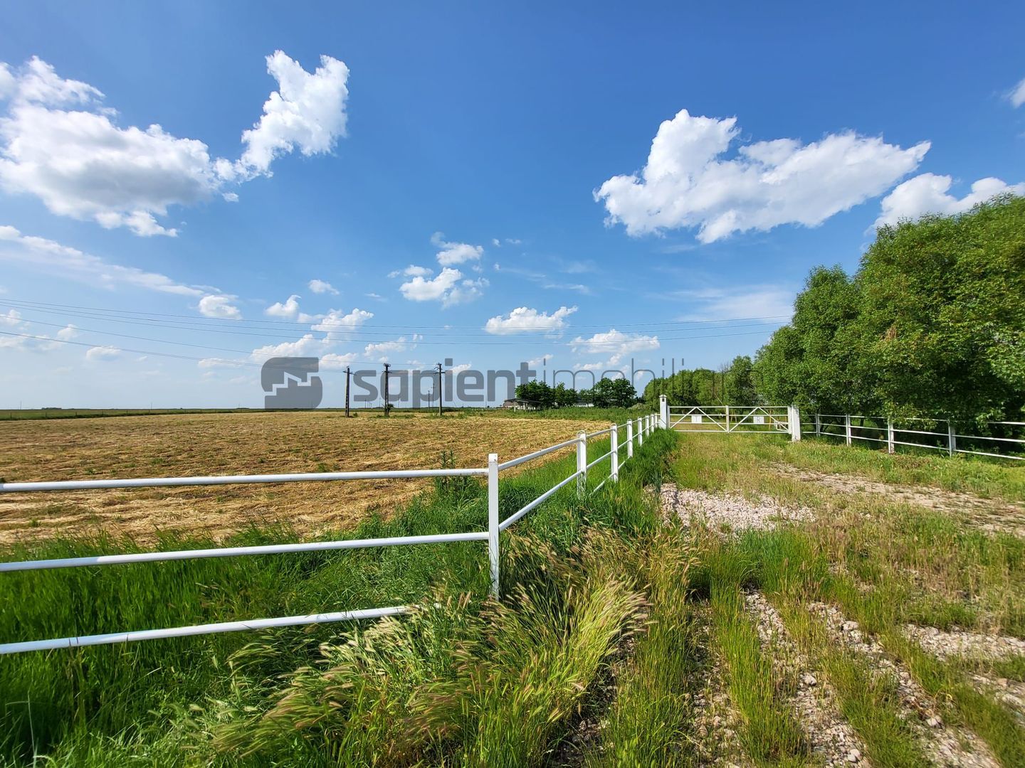 FERMA ZOOTEHNICA DE VANZARE - Poză 9