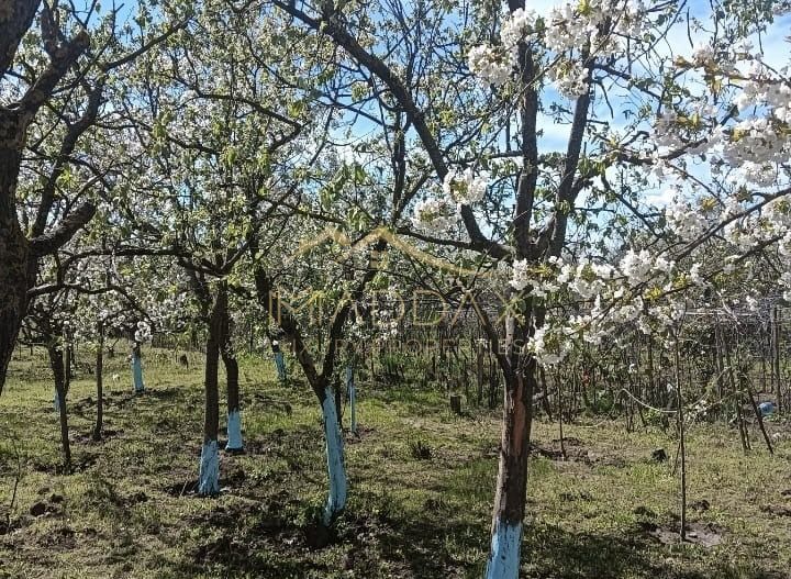 Vila 9 camere***gradina cu pomi fructiferi//1085 mp teren***Dragomiresti-Deal - Poză 13