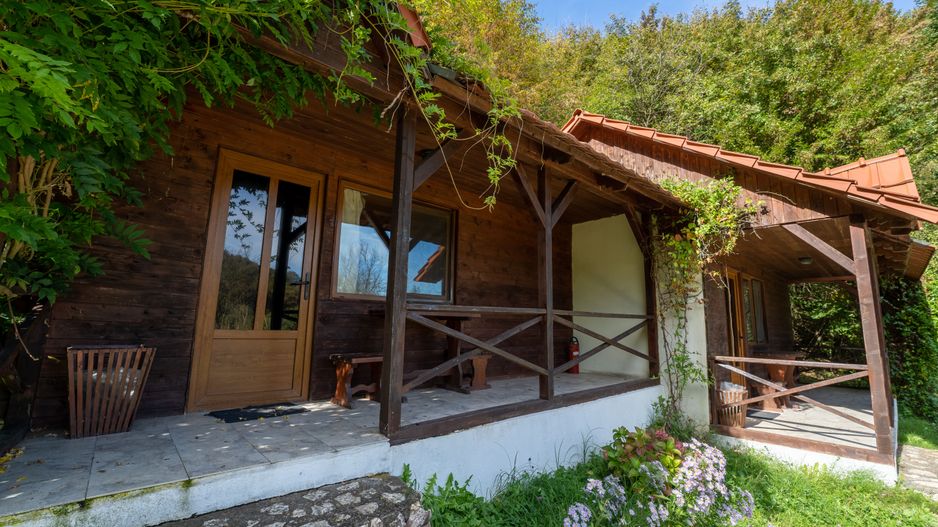 Domeniu în satul Căprioara - Poză 14