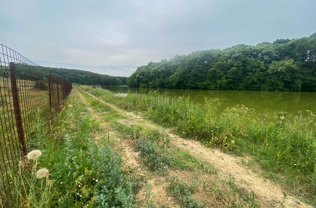 Teren Intravilan de vanzare 3778 mp Branesti Strada Violetelor - Poză 9