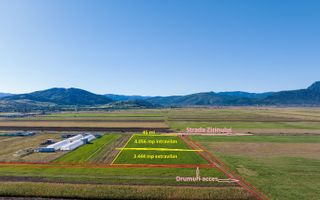 Teren comercial/industrial | 7.500 m² | strada Zizinului - Poză 6