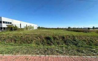 Teren de Inchiriat - Remetea Mare - 3200mp - Poză 3