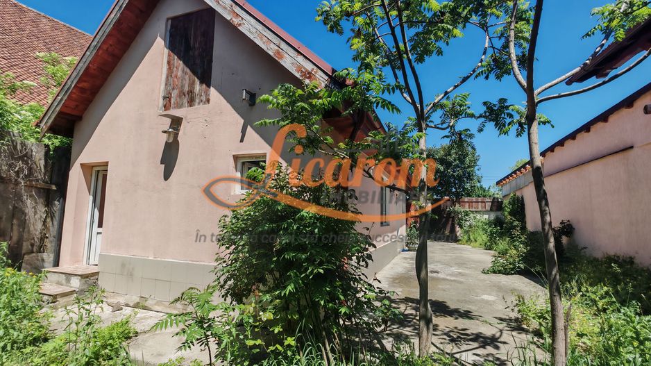 Casa cocheta Cristian zona Centrala, 2 camere,pod,beci,curte. - Poză 12