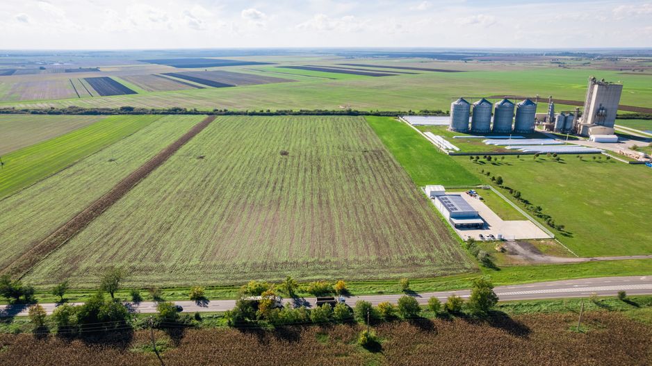 Teren de 104000 mp în Vinga - Poză 4