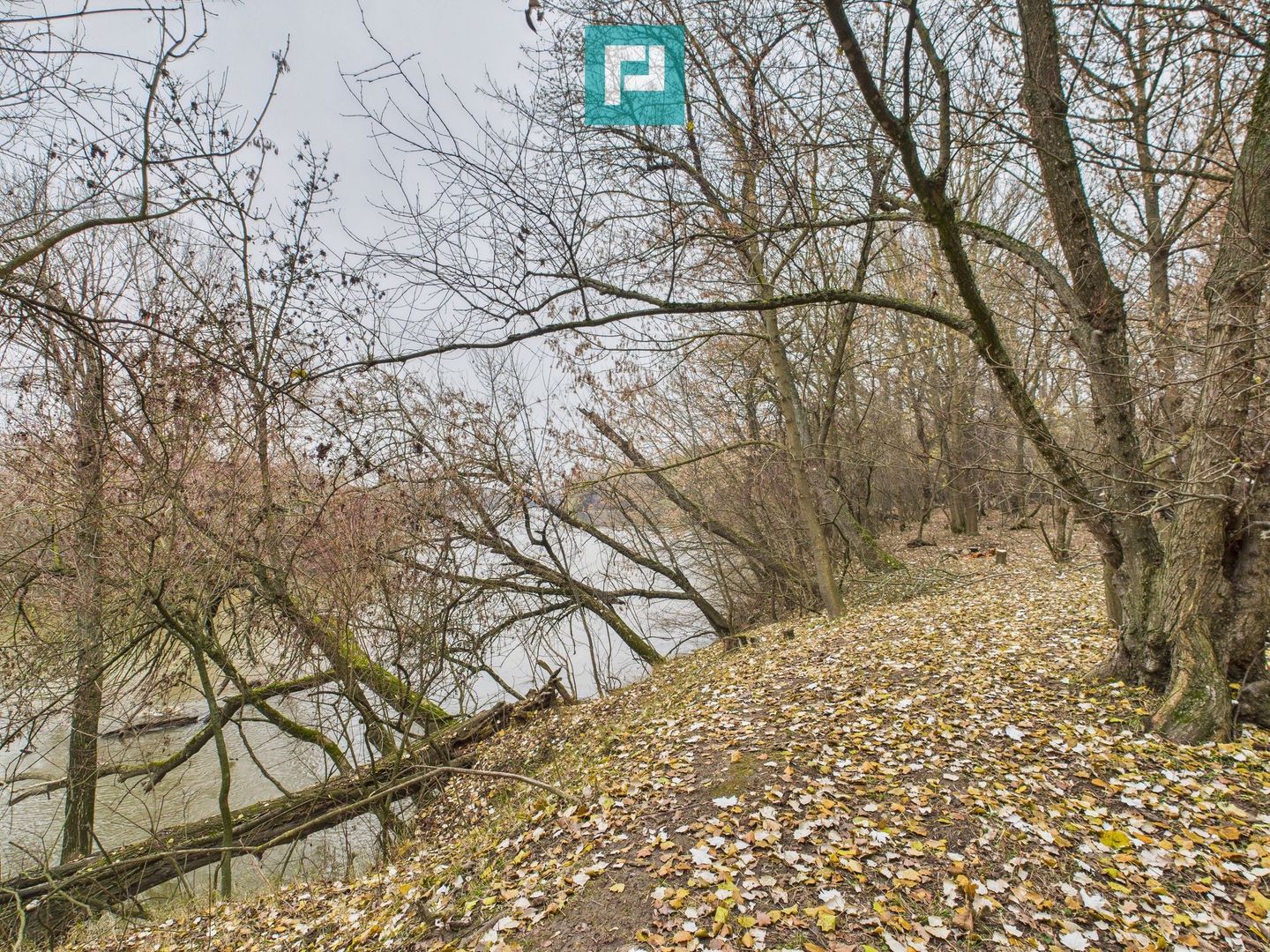 Teren pe malul Muresului- oportunitati multiple - Poză 19