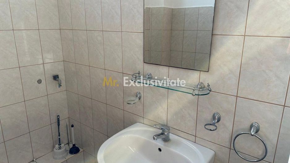 Vânzare/Inchiriere Spațiu Comercial 145,55 mp, Zona Kaufland - Carei - Poză 8