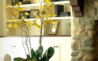 Apartament cu 3 camere de vânzare în zona Andrei Muresanu - Poză 5