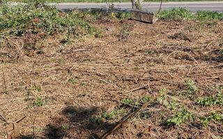 Teren intravilan 1000 mp-ideal afacere,investitie,hala-Zona Centura - Poză 3