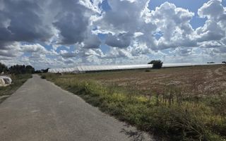 Teren 7500 mp Campurelu Colibasi strada asfaltata langa padure - Poză 4