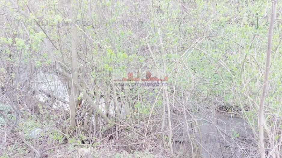 Teren de vanzare Cocani, Crevedia, langa padure Dambovita - 17 km de Bucuresti - Poză 10