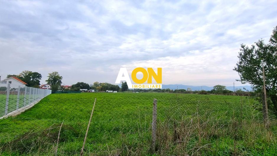 Oportunitate de investitie, posibilitate parcelare, 12.000 MP, Sebes - Poză 5