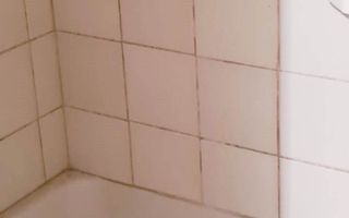 Camera cu baie si suprafata de 20mp in Noua - Poză 2