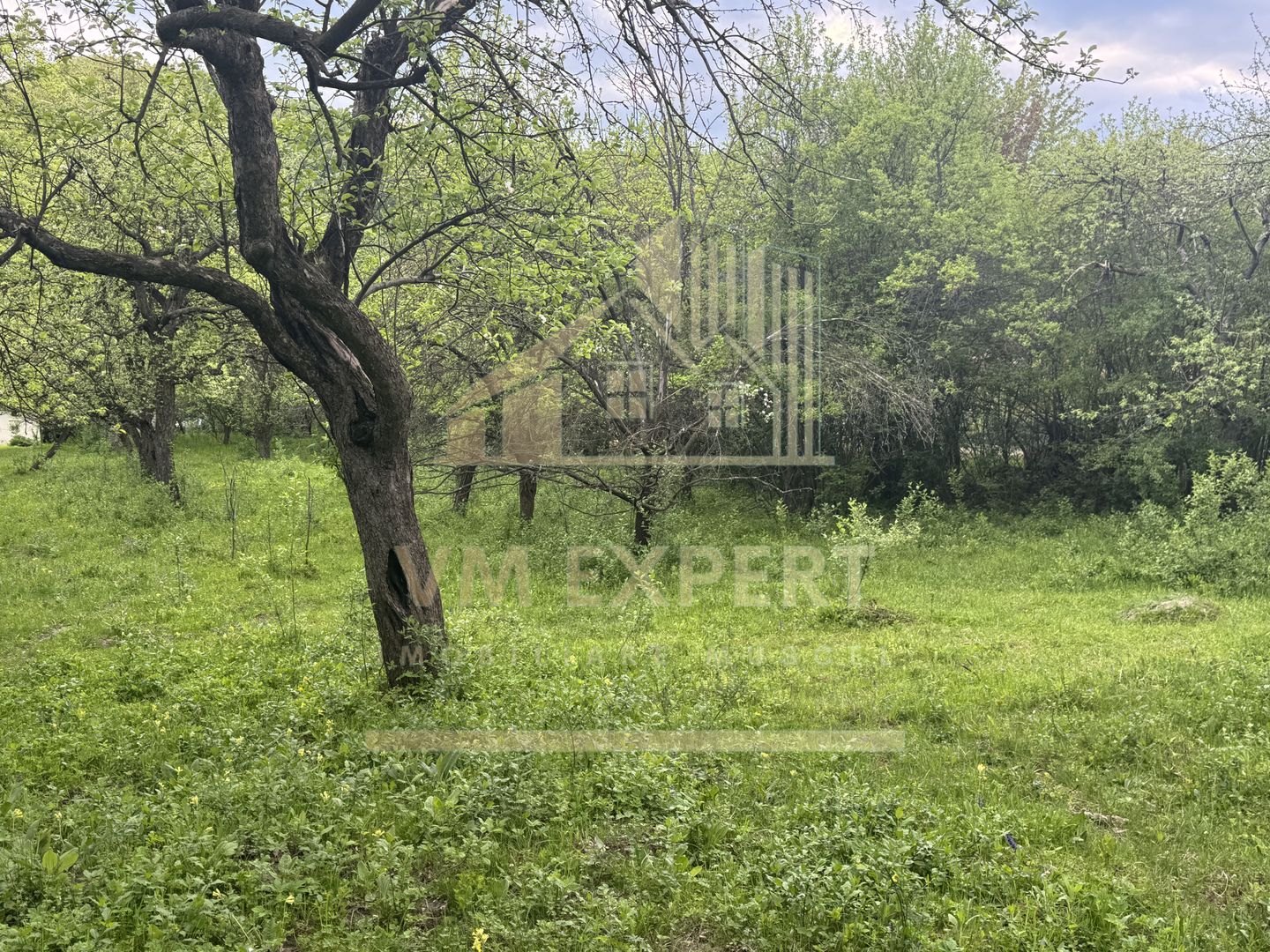 TEREN INTRAVILAN 7018 MP CAMPULUNG - Poză 28