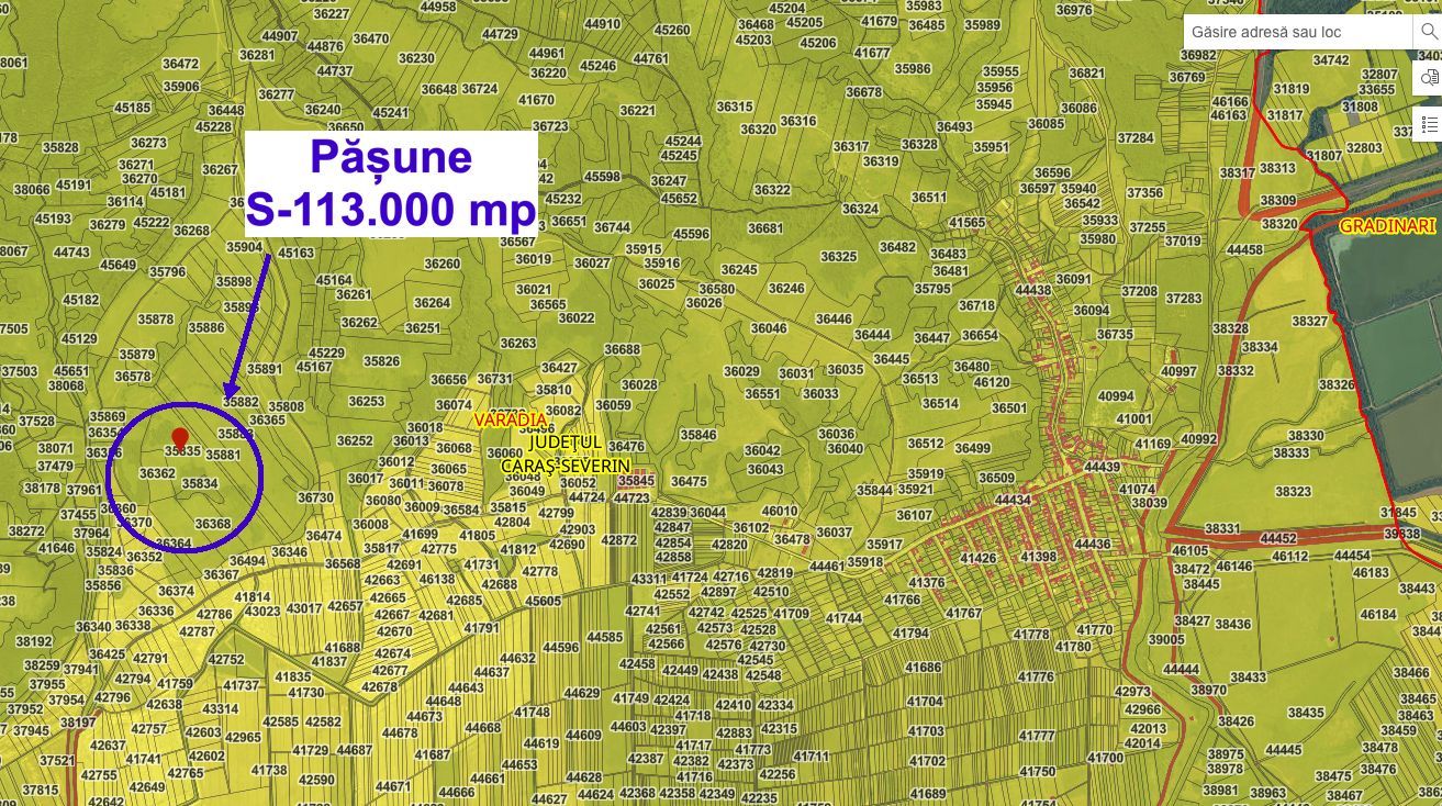 Pășune 11,3 ha – Vărădia, Caraș-Severin – 6.000 €/ha - Poză 3