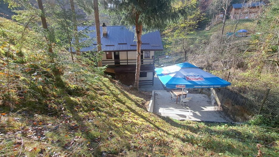 Vanzare Casa de Vacanta, Rucar - Poză 2