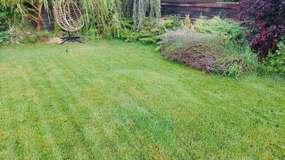 Vila vanzare| Balotesti| duplex P+1 deosebit |complet renovata in 2025 - Poză 14