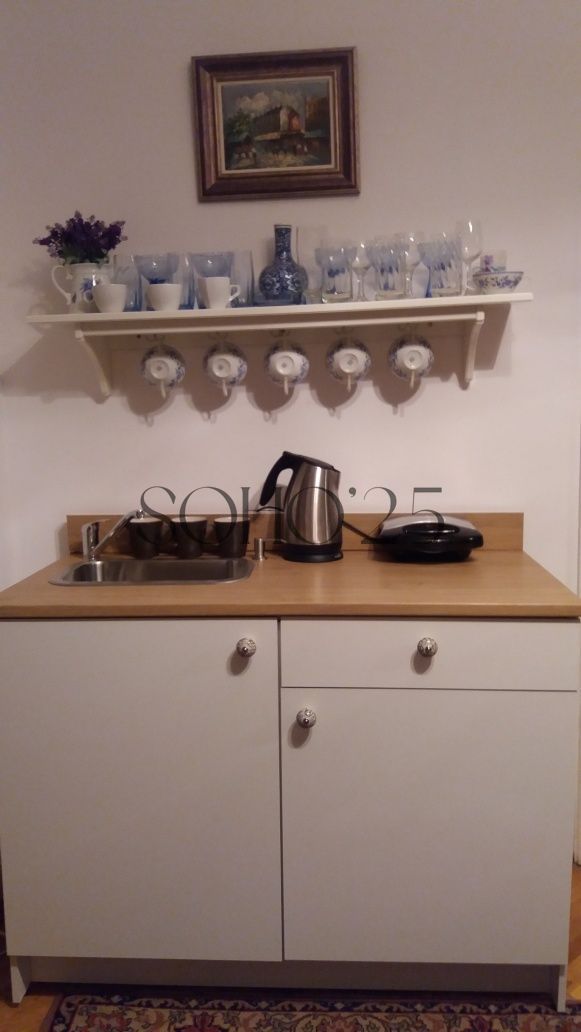 Apartament cochet Cismigiu - Poză 8