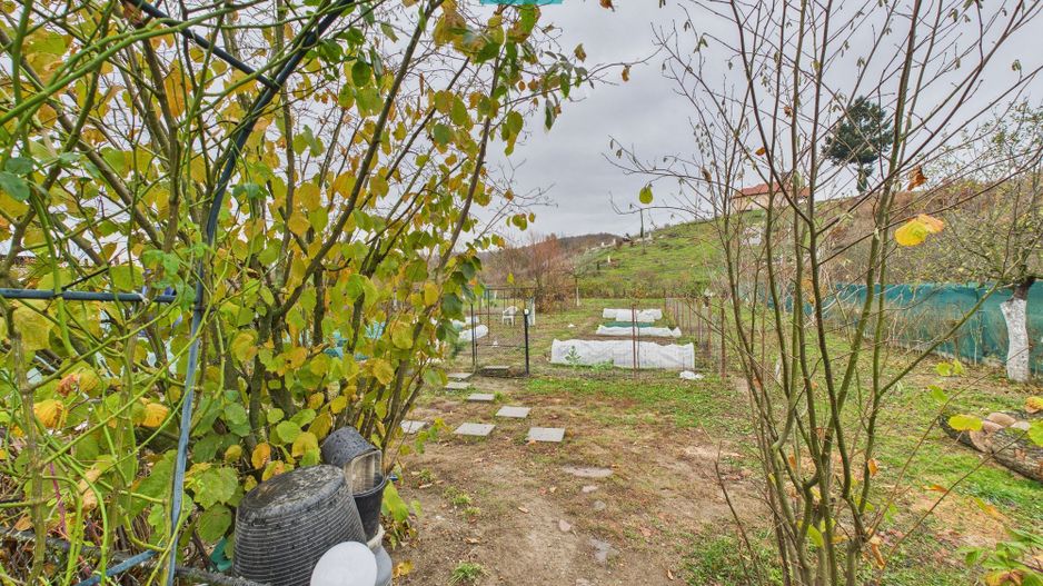 Casă renovată în localitatea Comănești, Arad - Poză 22