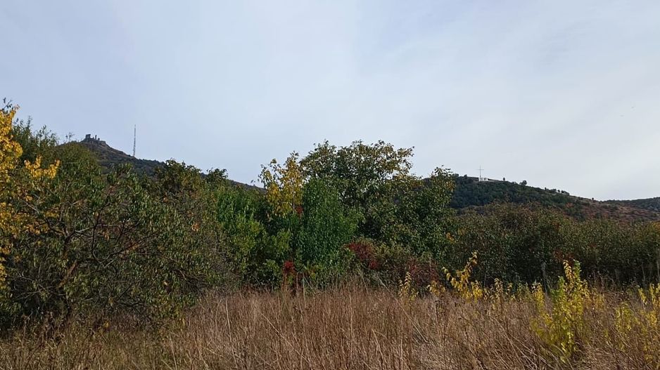 🏡  Casă de Poveste în Șiria, Arad- Locație Rară - Poză 12