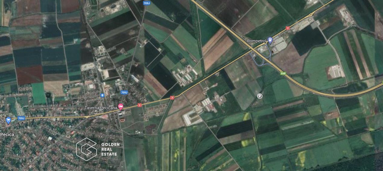 Teren extravilan agricol la pret corect 10.000 mp, Pecica - Poză 1