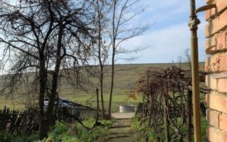 De vânzare casă + teren 30 ari - Silivașu de Câmpie, - Poză 11