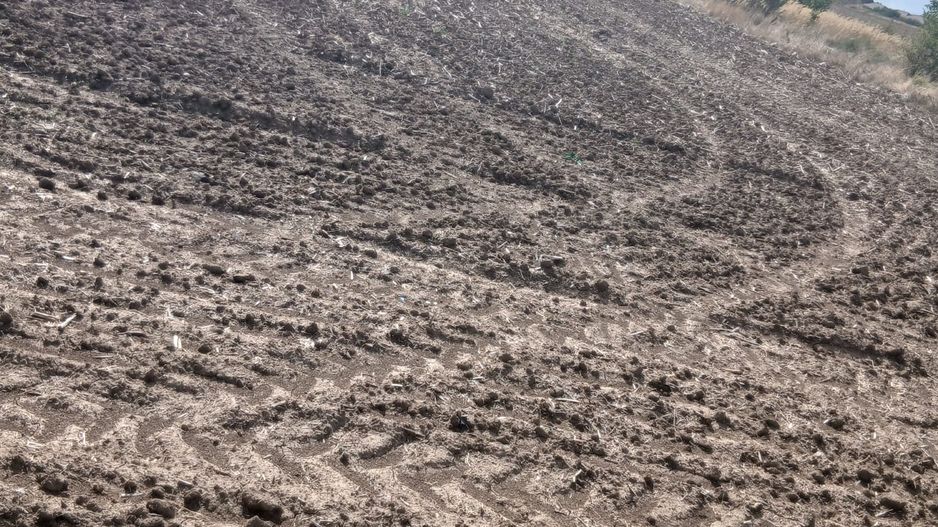 Teren de vanzare 4500mp Strada Rasaritului Darvari Ciorogarla A0 - Poză 5