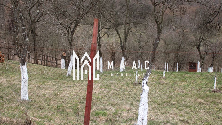 Pământ I Fereastră către Eternitate în  Transilvania - Poză 14