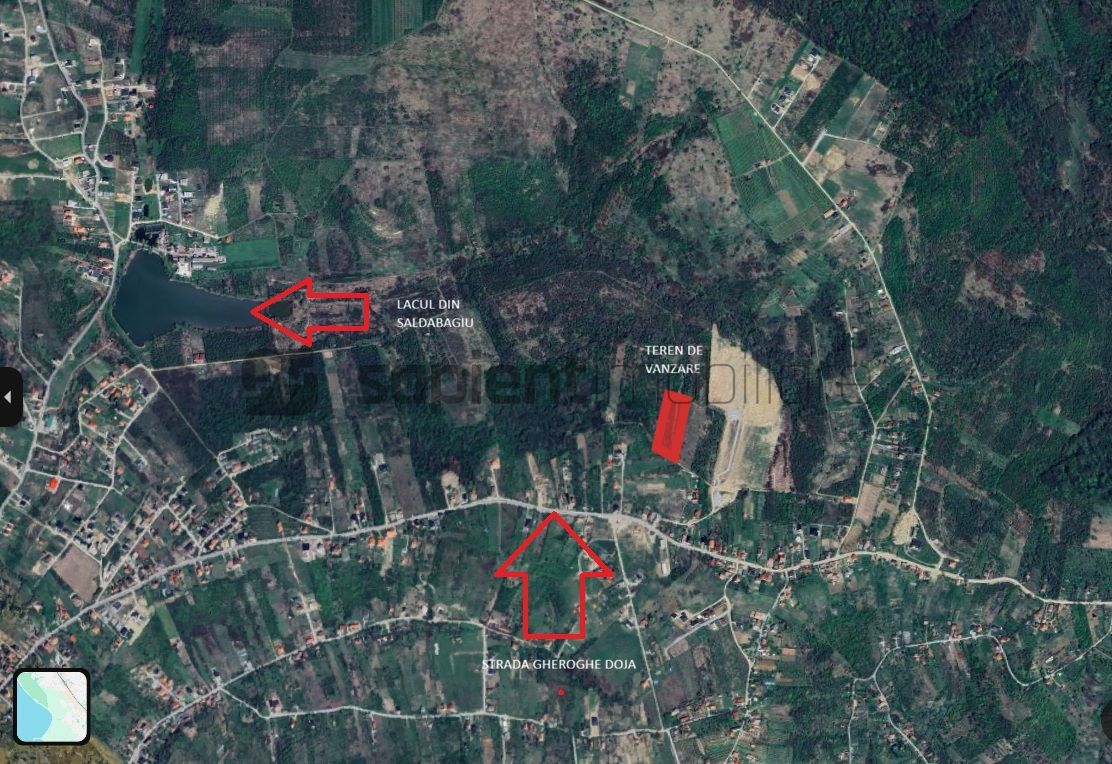 Sapient | Teren intravilan în Săldăbagiu de Munte 4.316 mp - Poză 1