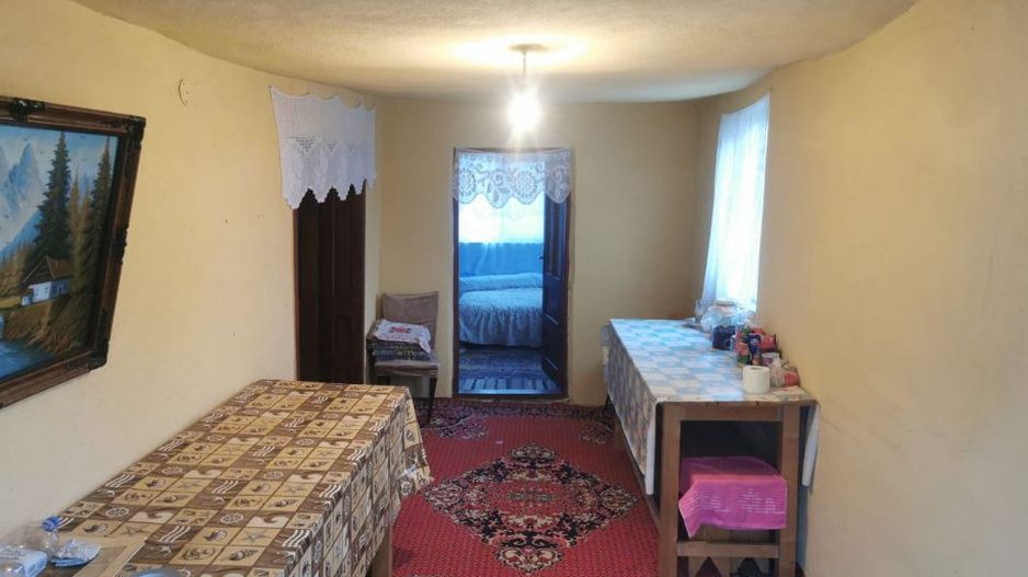 De vanzare casa in Argetoaia cu teren 7.000 mp - Poză 7