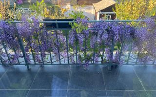 DUPLEX  COMUNA GIROC - Poză 21