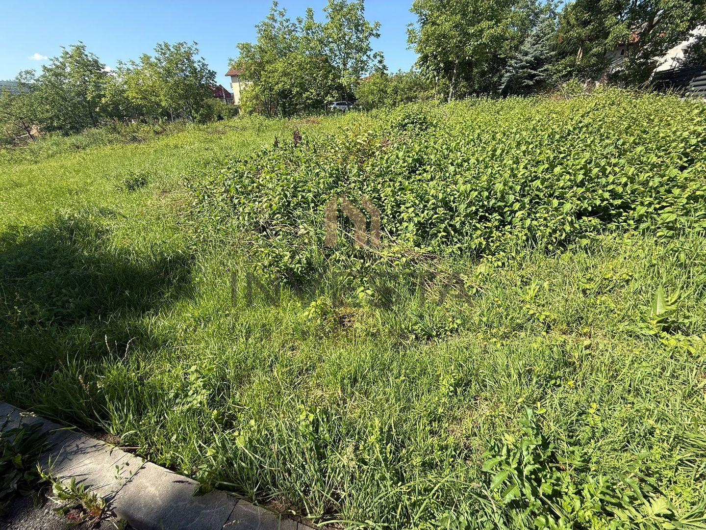 Teren intravilan  zona rezidențială Buna Ziua - Poză 1