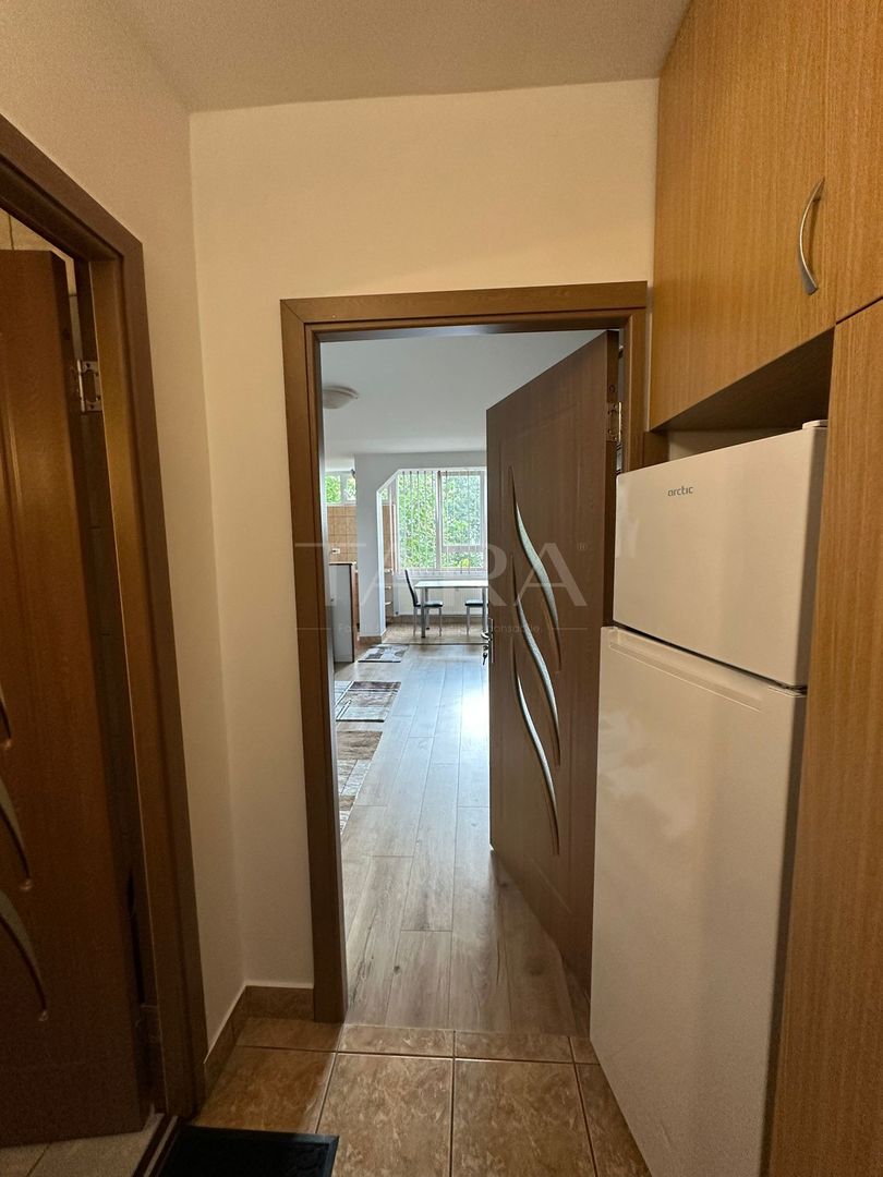 Garsonieră spațioasă și luminoasă – Strada Grigore Alexandrescu. - Poză 7