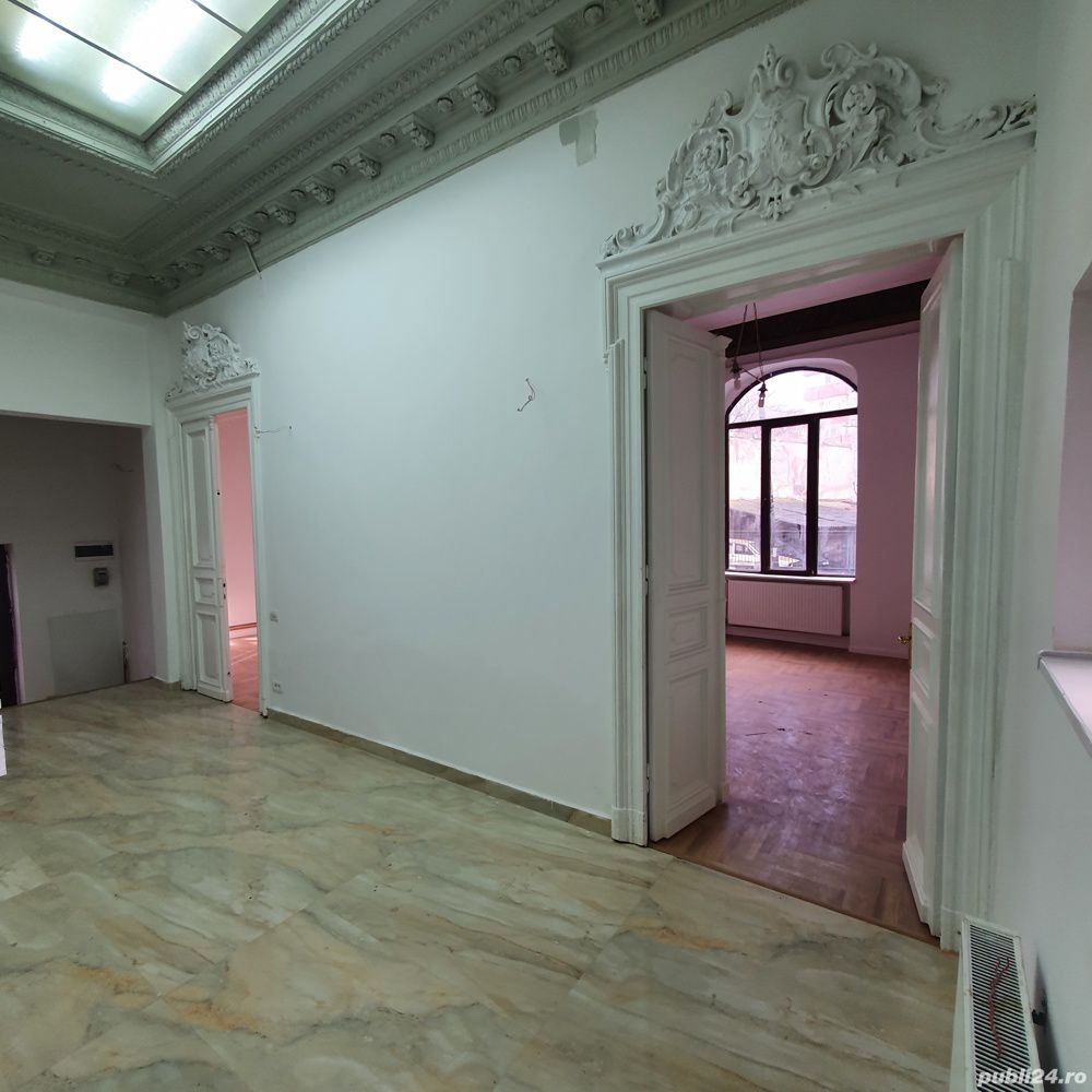 Vila Reprezentativa  8 camere Calea Mosilor - Poză 20